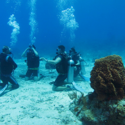 group of scuba divers sitting on sea floor in a circle