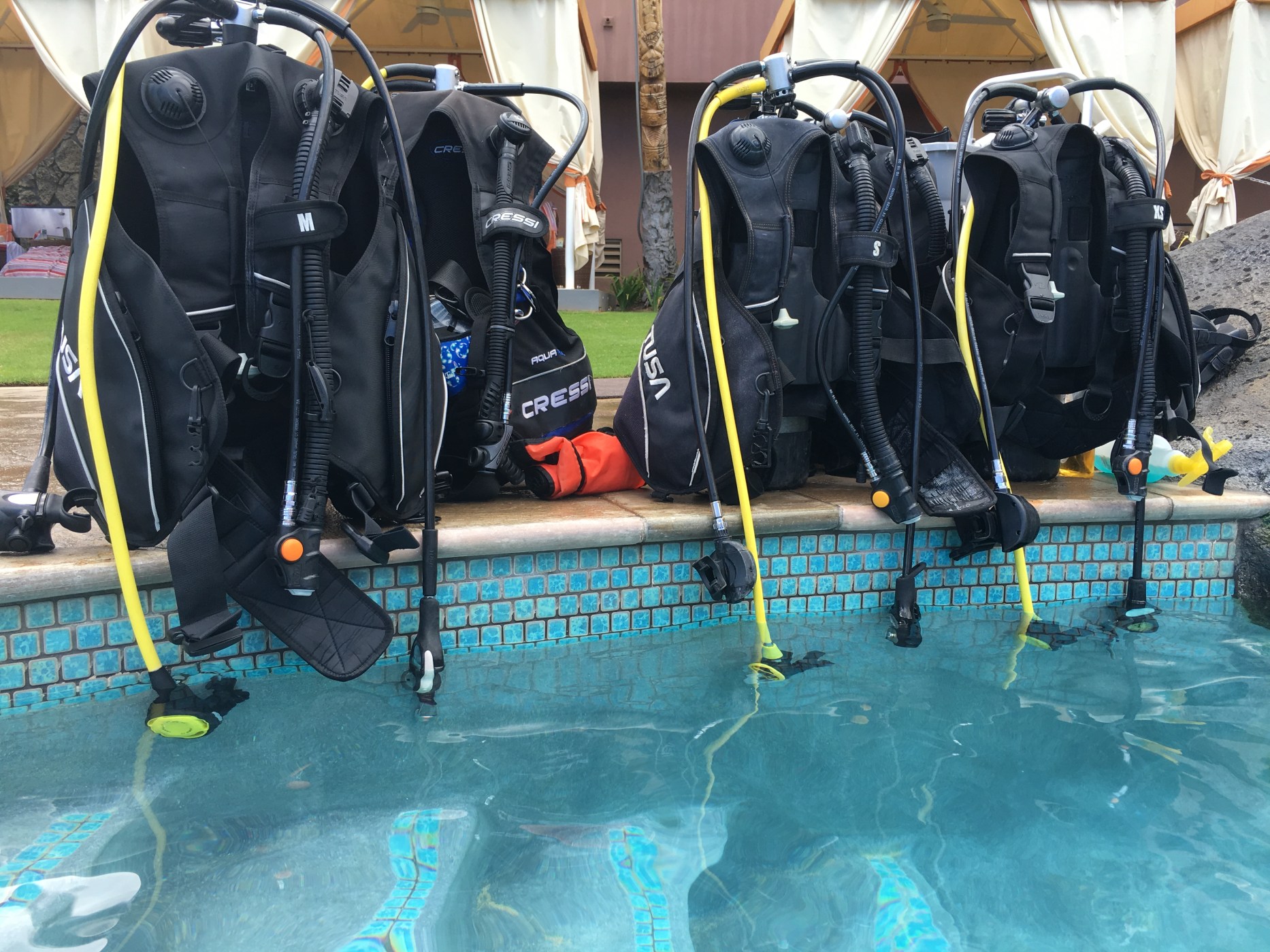 Dive Kauai Scuba Center @ Beach Activities Desk photo 3