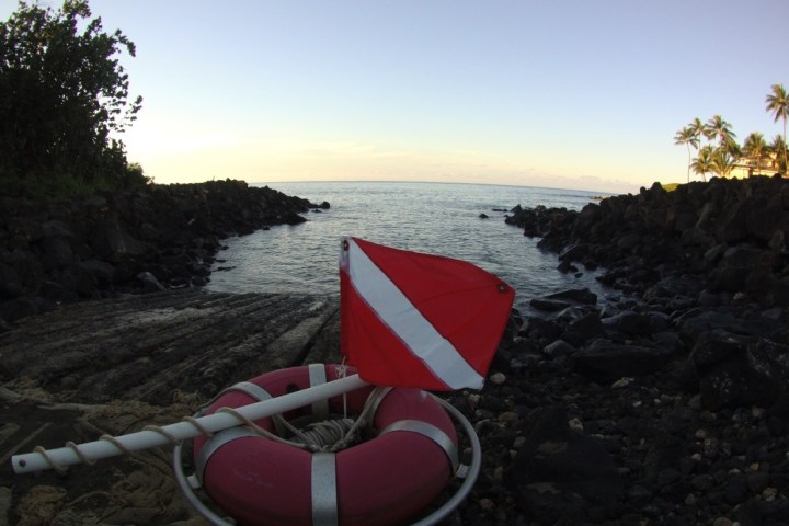 a close up of an umbrella on a beach