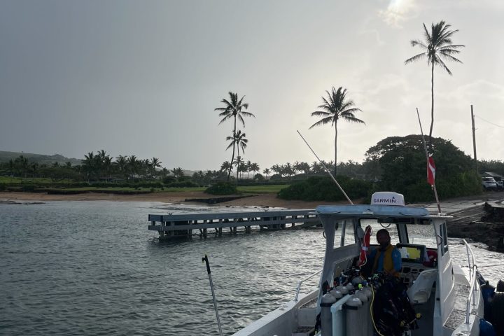 a small boat in a body of water