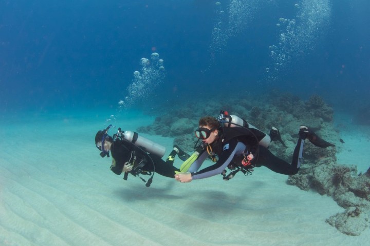 a group of people riding on the back of a motorcycle